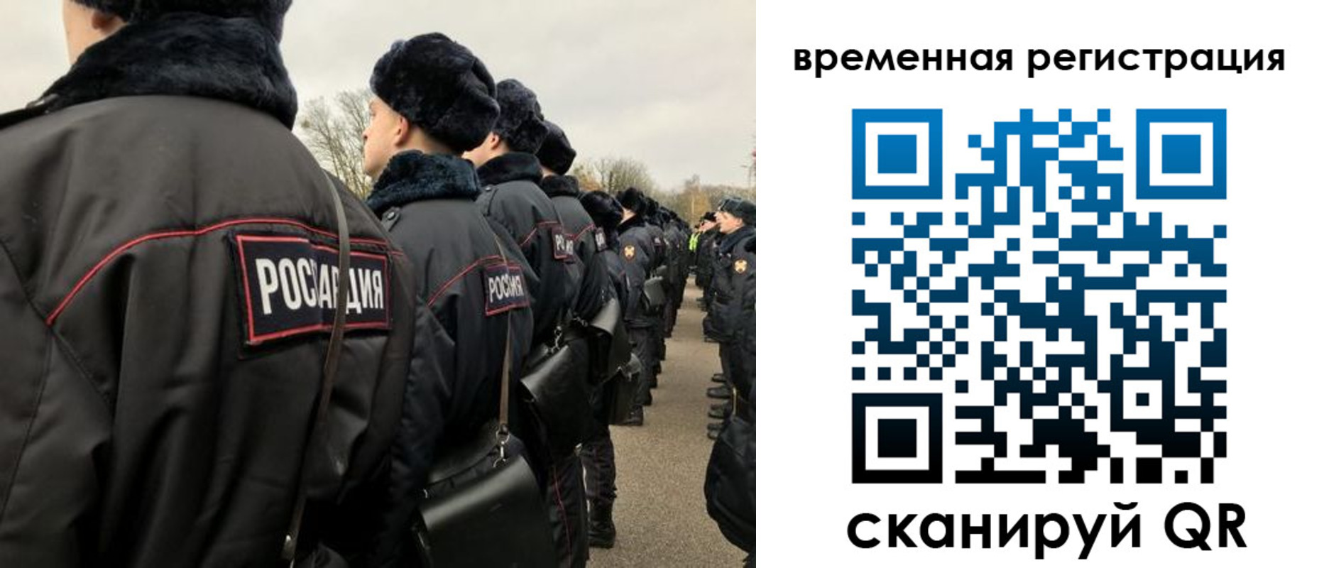 прописка гарантия в Петровске